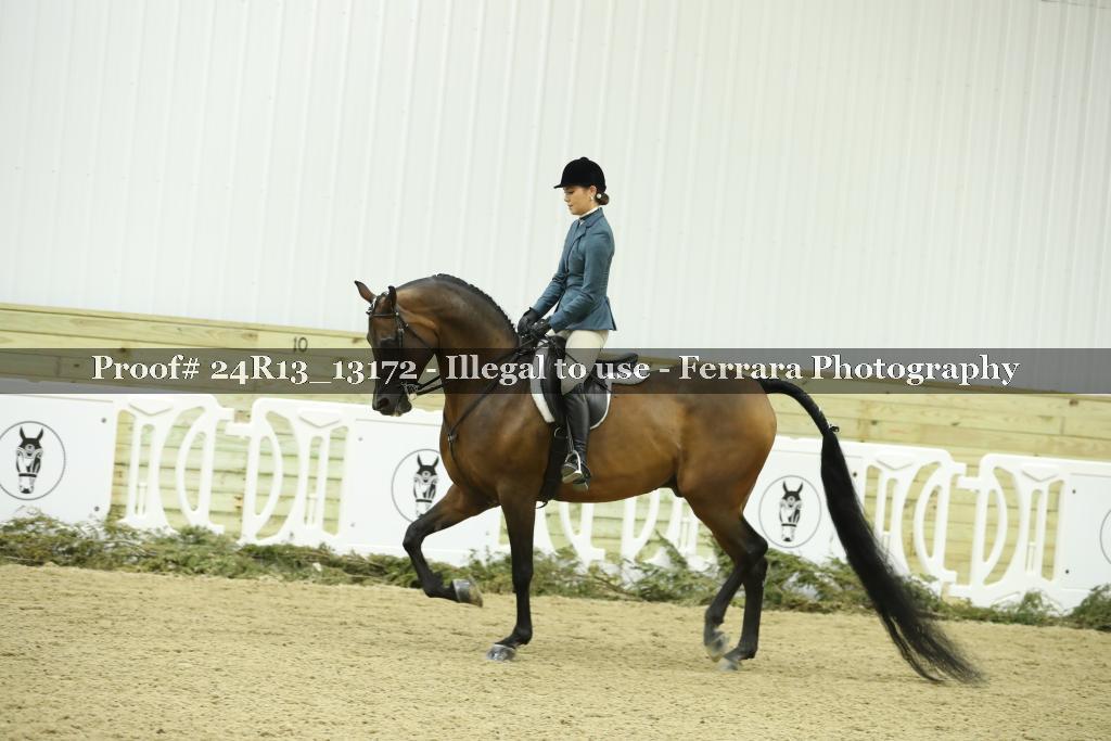 Proof 24R13_13172