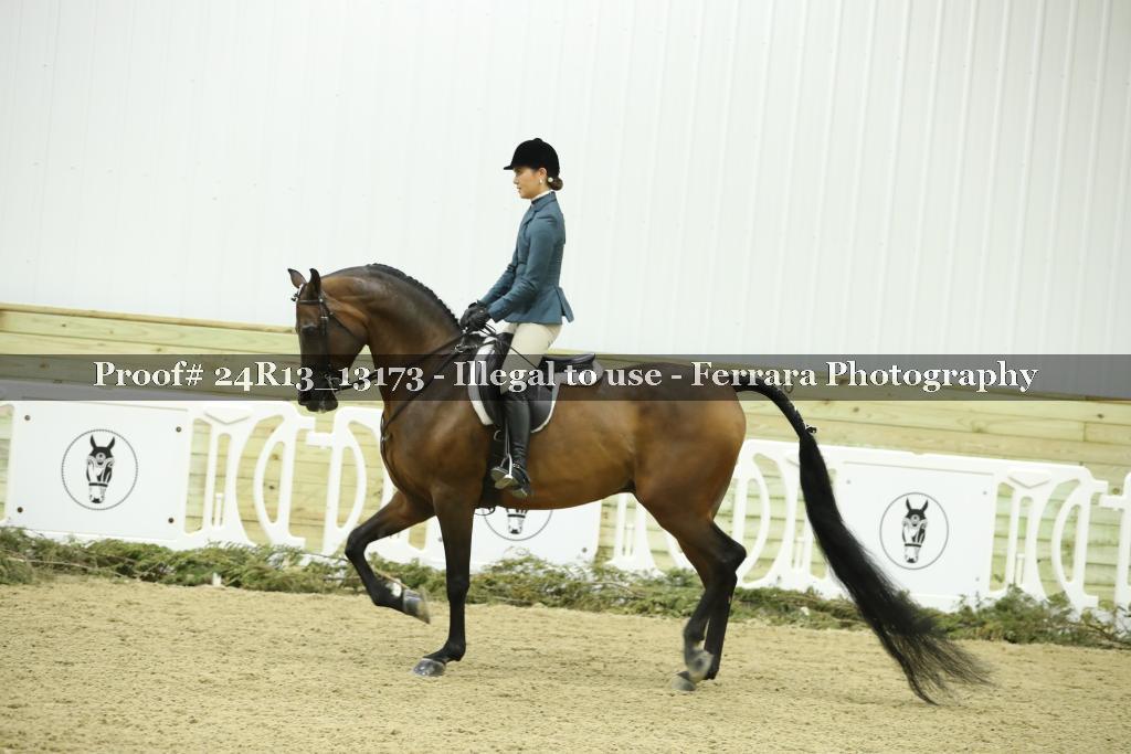 Proof 24R13_13173
