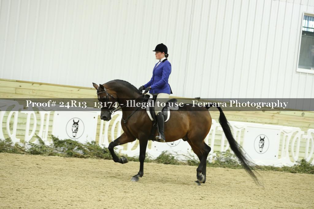 Proof 24R13_13174