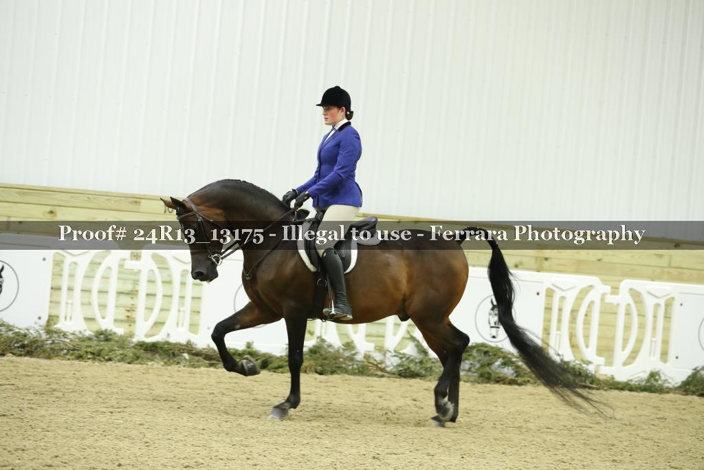 Proof 24R13_13175