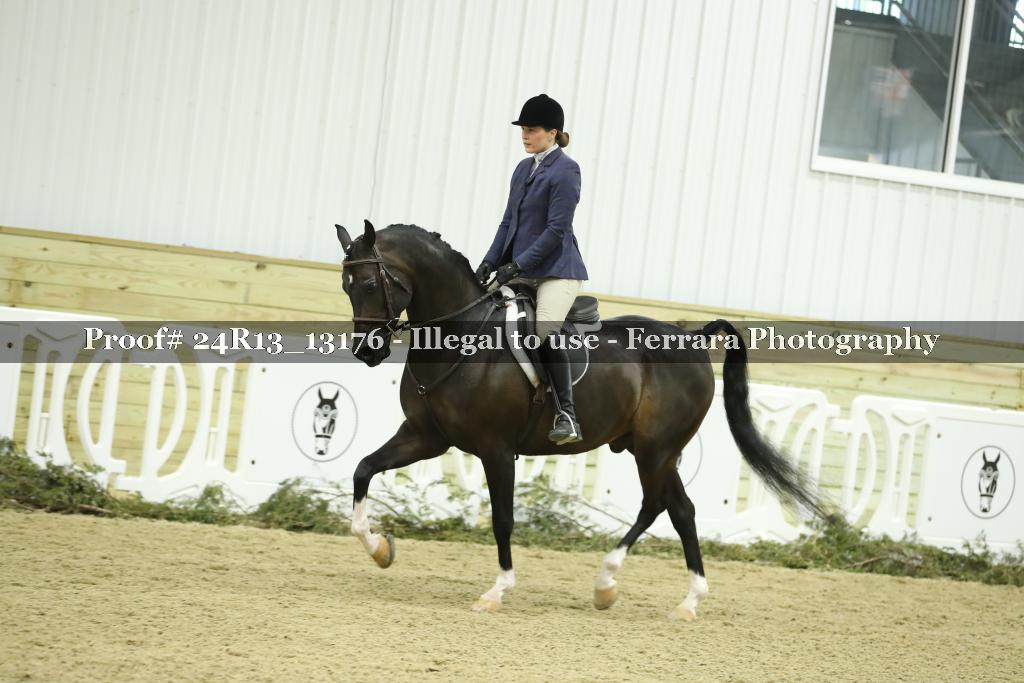 Proof 24R13_13176