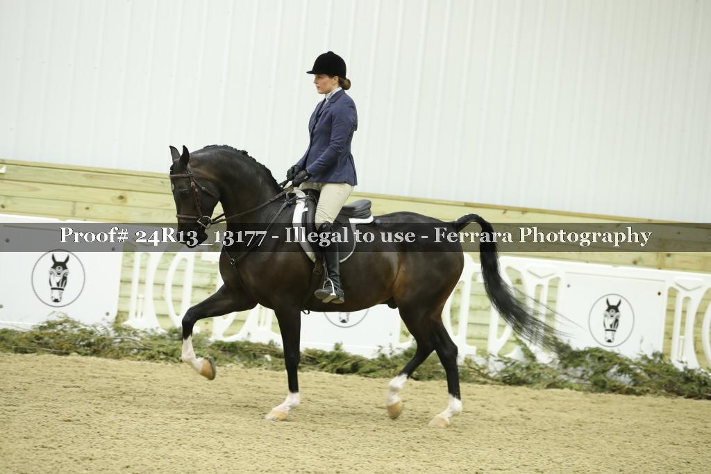 Proof 24R13_13177