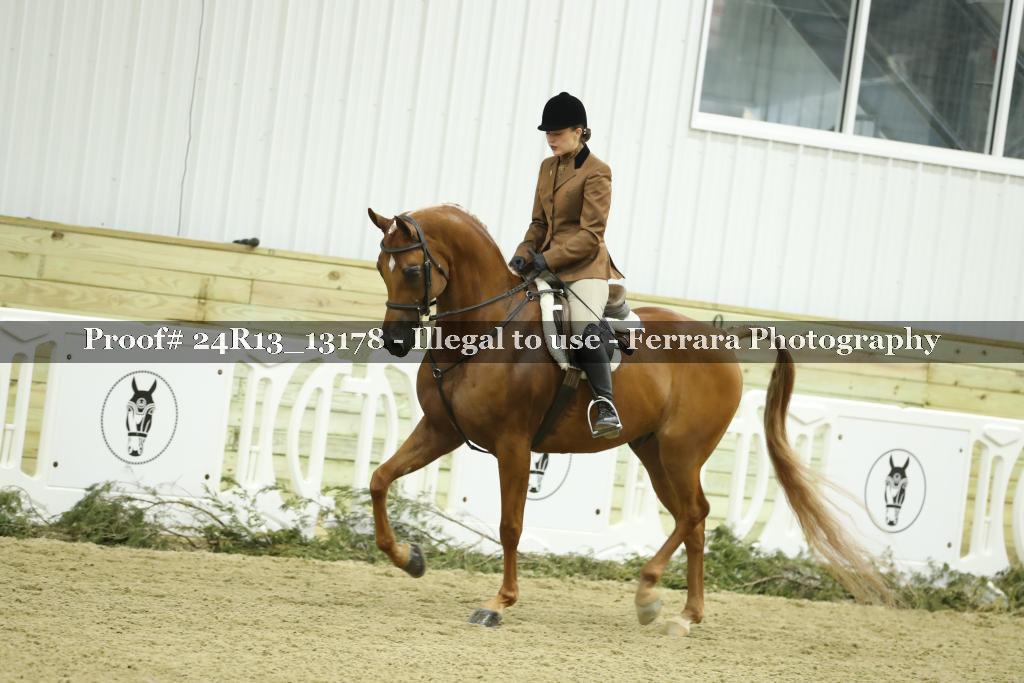 Proof 24R13_13178