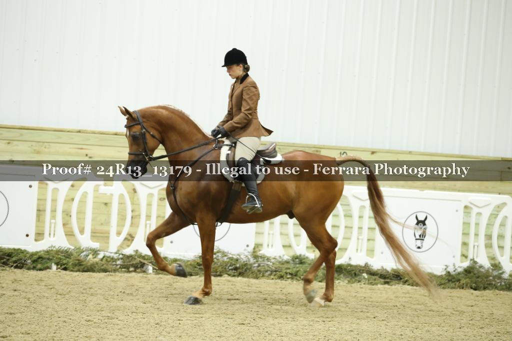 Proof 24R13_13179