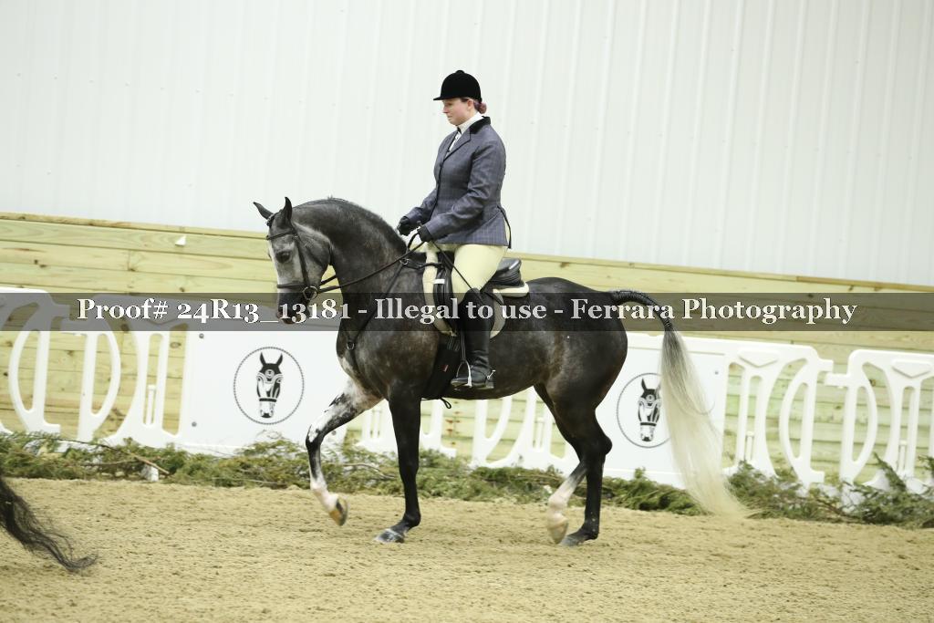 Proof 24R13_13181