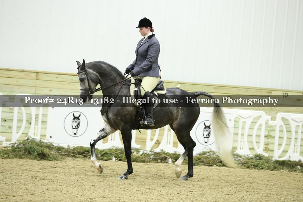Proof 24R13_13182