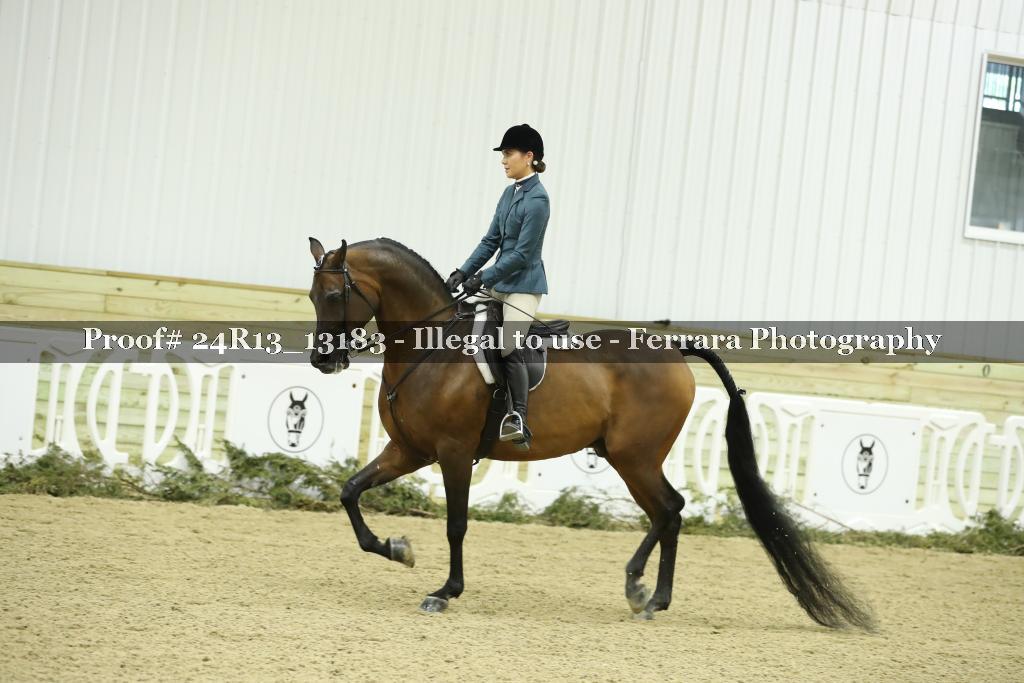 Proof 24R13_13183