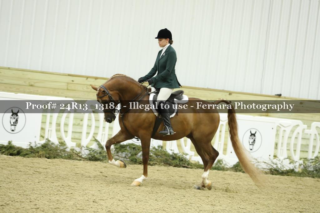 Proof 24R13_13184