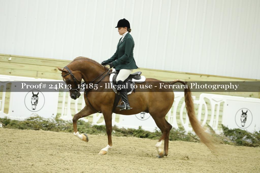 Proof 24R13_13185