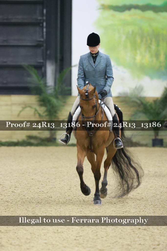 Proof 24R13_13186