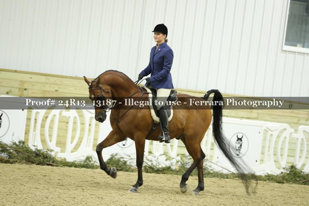 Proof 24R13_13187