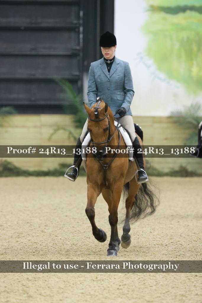 Proof 24R13_13188