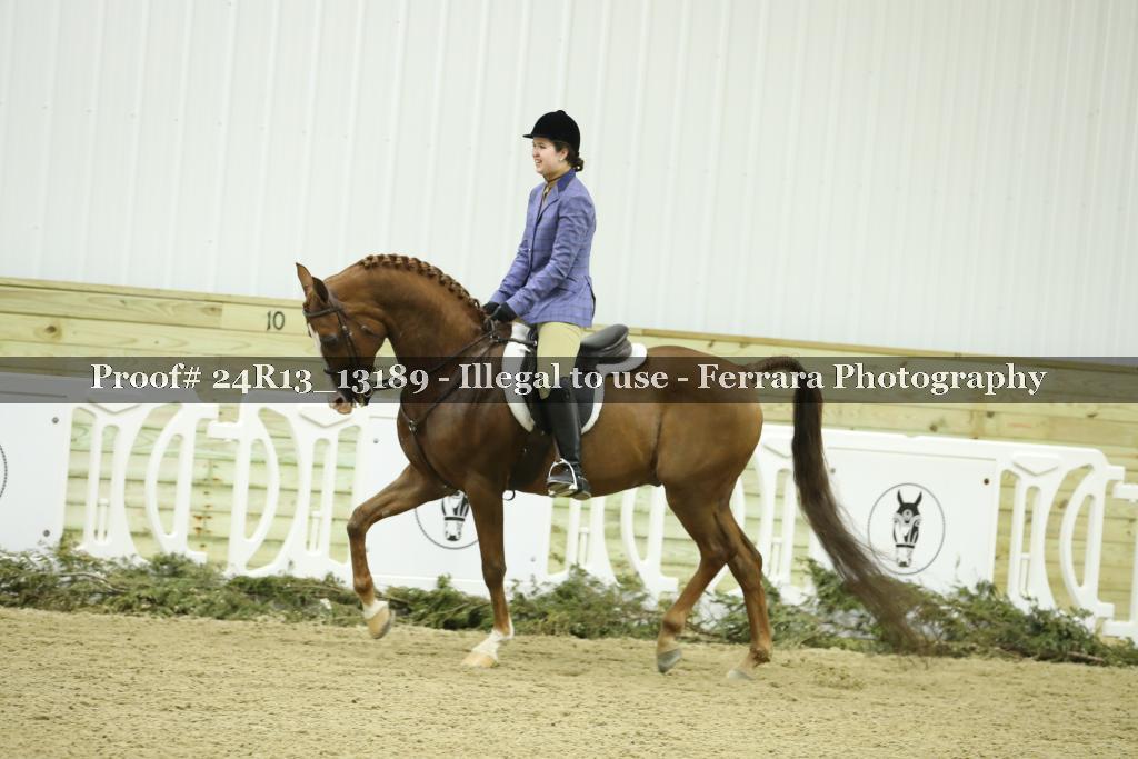 Proof 24R13_13189