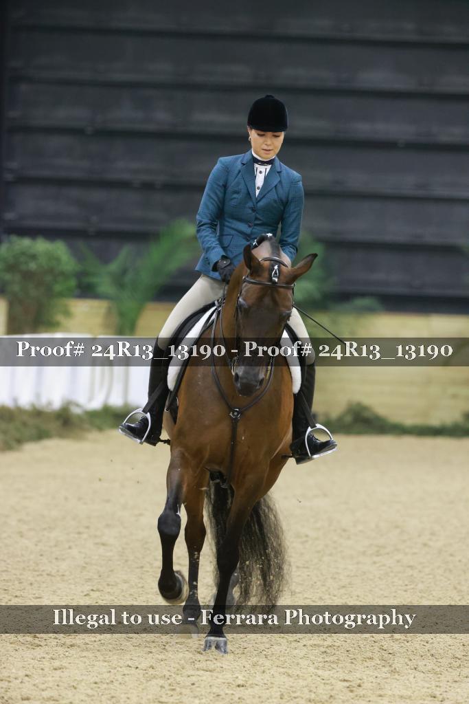 Proof 24R13_13190