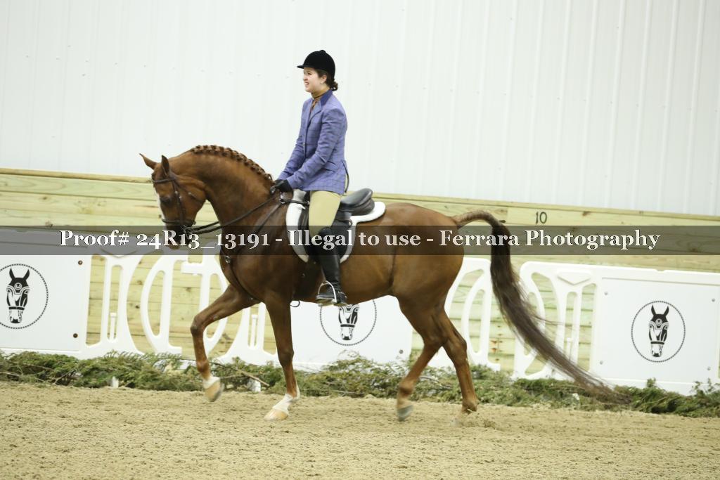 Proof 24R13_13191