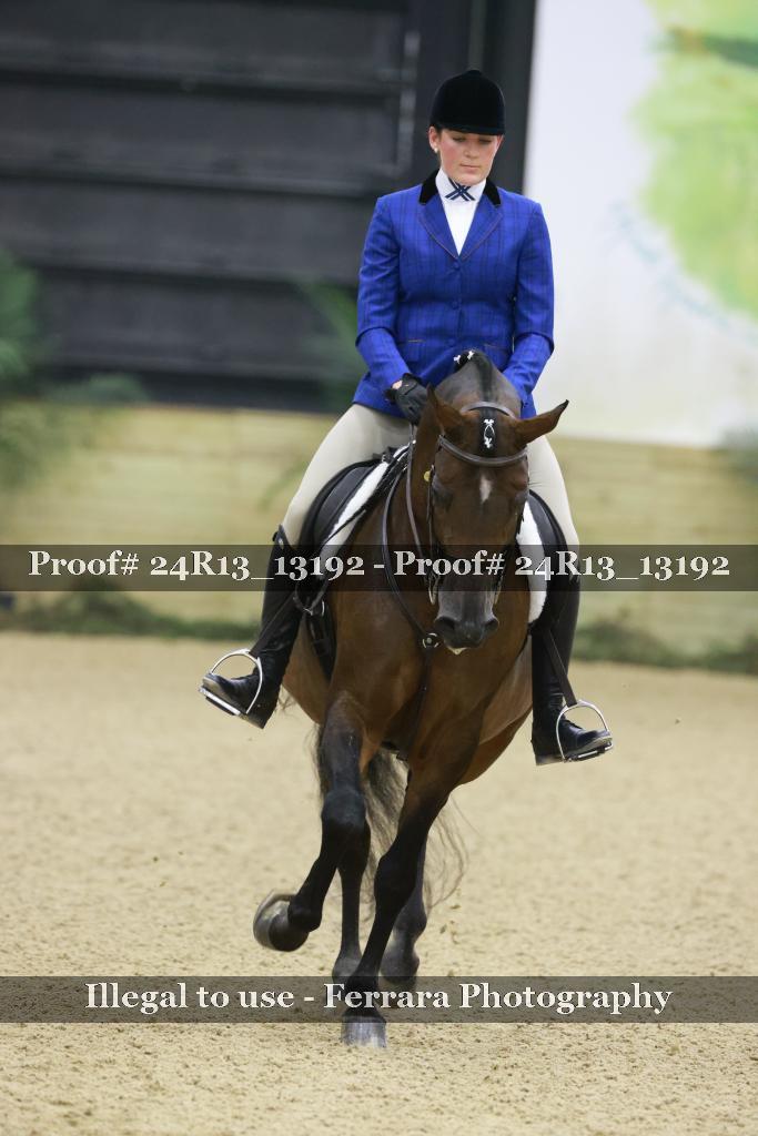 Proof 24R13_13192