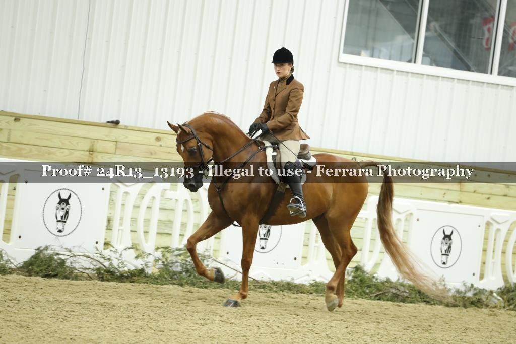 Proof 24R13_13193