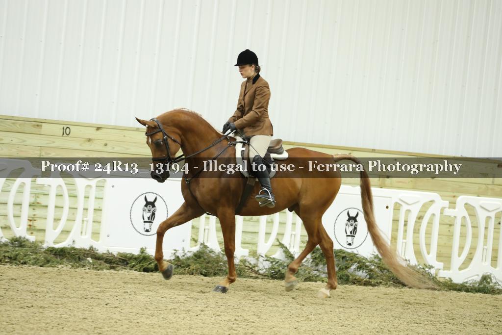 Proof 24R13_13194