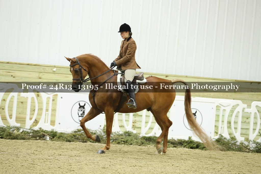 Proof 24R13_13195