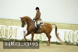 24R13_13195 proof