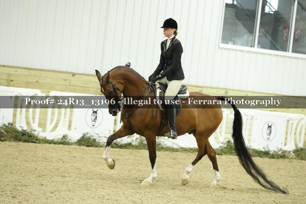 Proof 24R13_13196