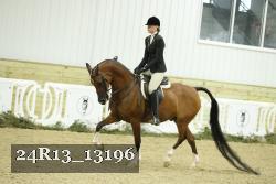24R13_13196 proof