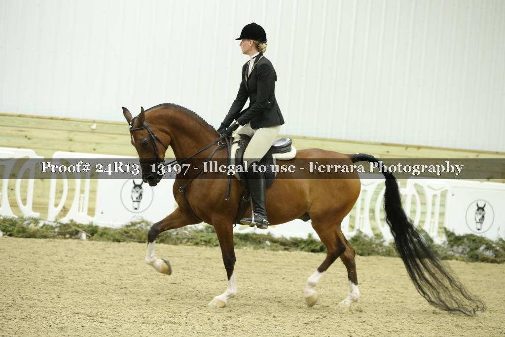 Proof 24R13_13197