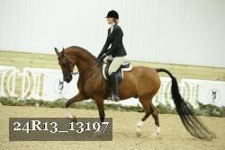 24R13_13197 proof