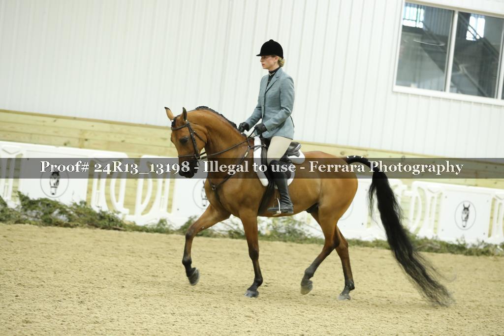 Proof 24R13_13198