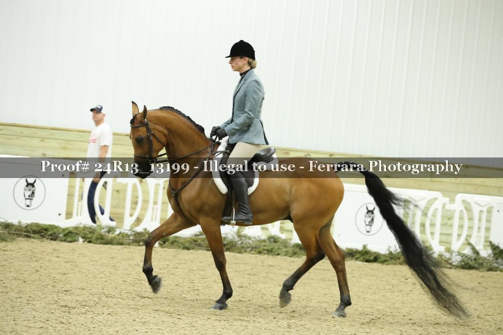 Proof 24R13_13199