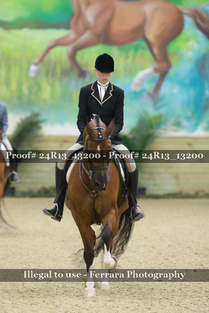 Proof 24R13_13200