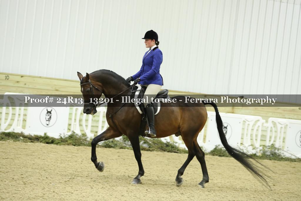 Proof 24R13_13201