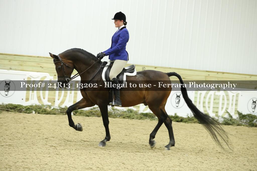 Proof 24R13_13202