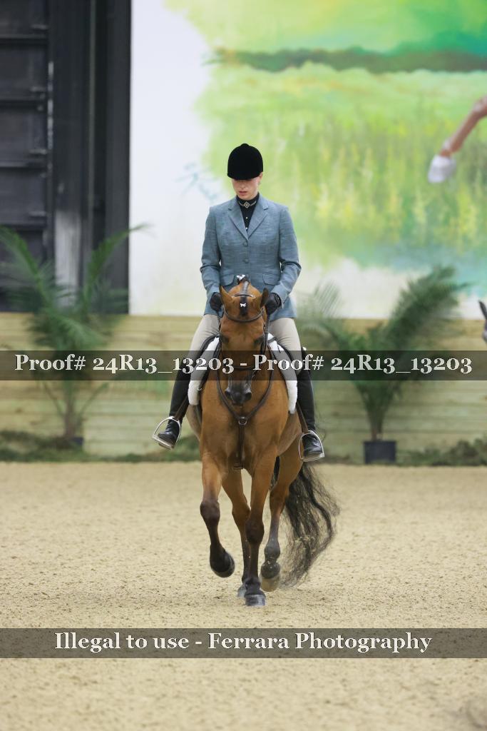 Proof 24R13_13203