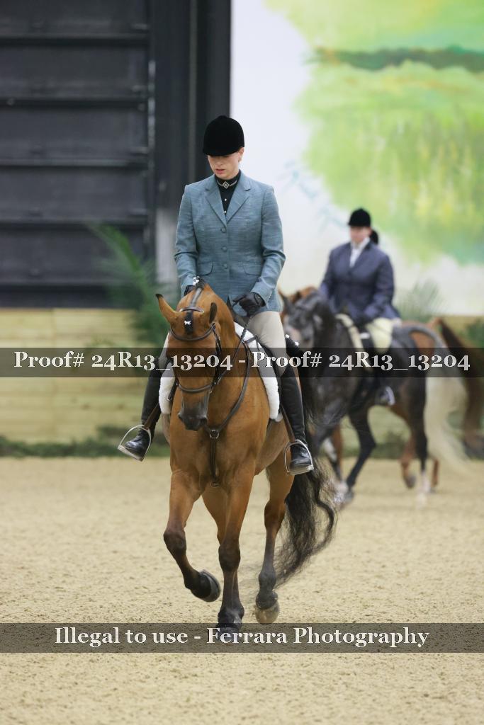 Proof 24R13_13204