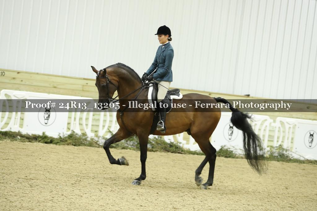 Proof 24R13_13205