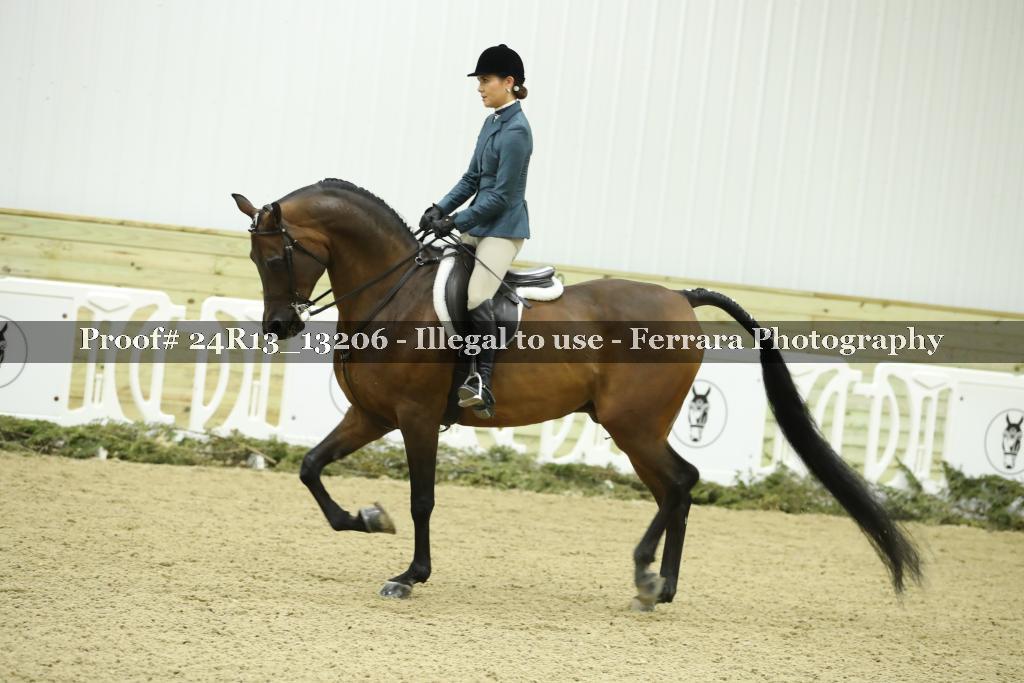 Proof 24R13_13206
