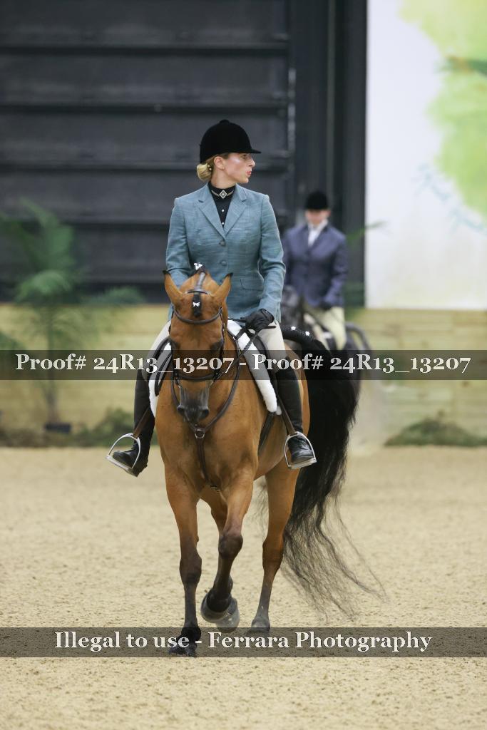 Proof 24R13_13207