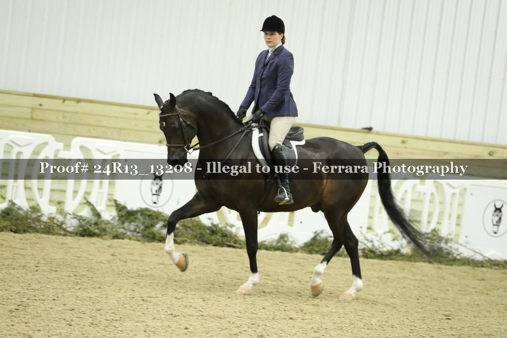 Proof 24R13_13208