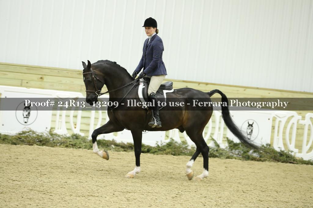 Proof 24R13_13209