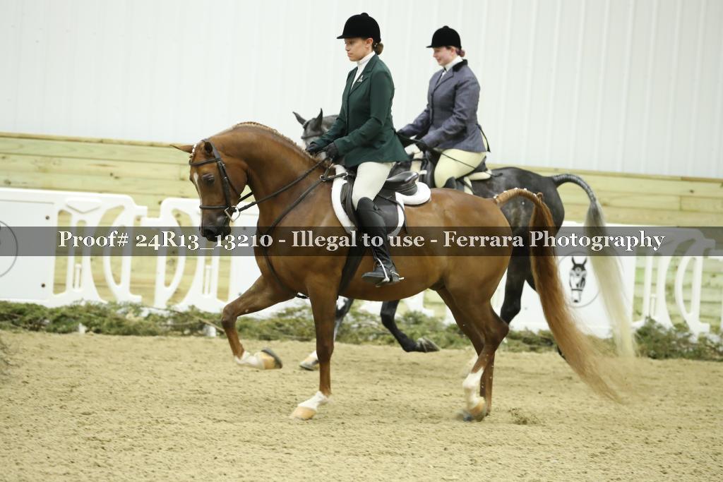 Proof 24R13_13210