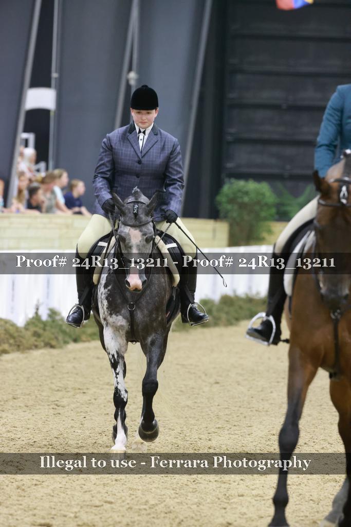 Proof 24R13_13211