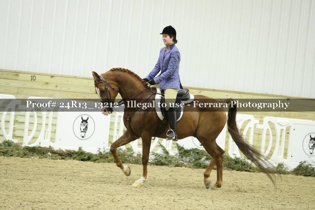 Proof 24R13_13212