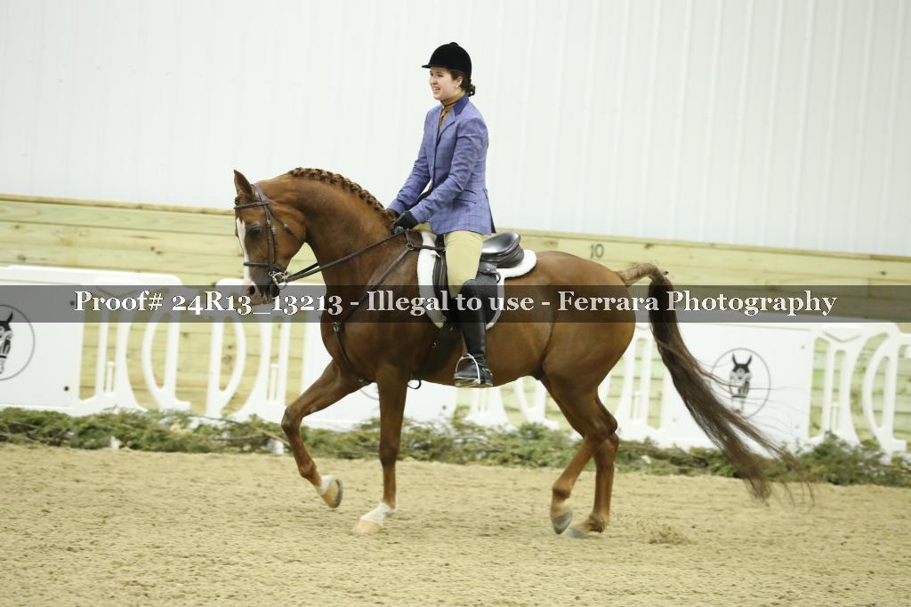 Proof 24R13_13213