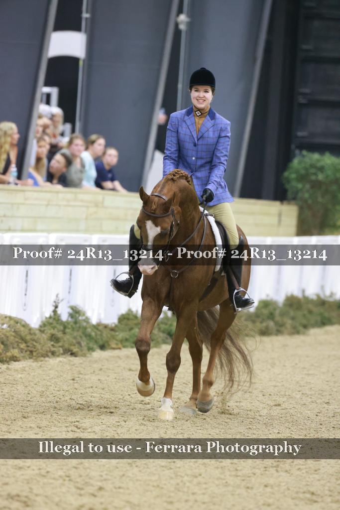 Proof 24R13_13214