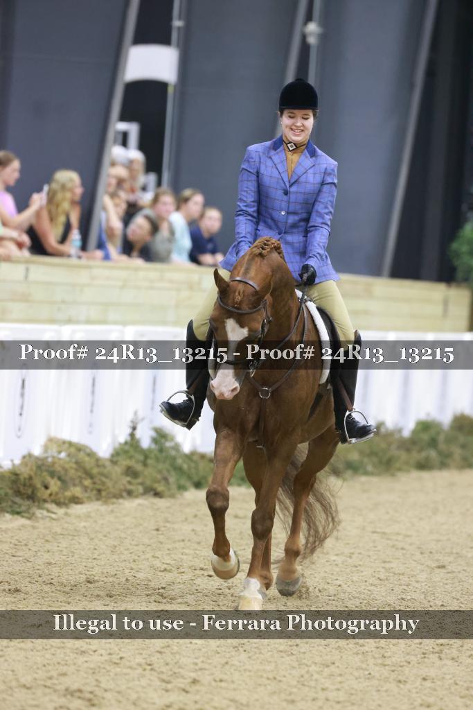 Proof 24R13_13215