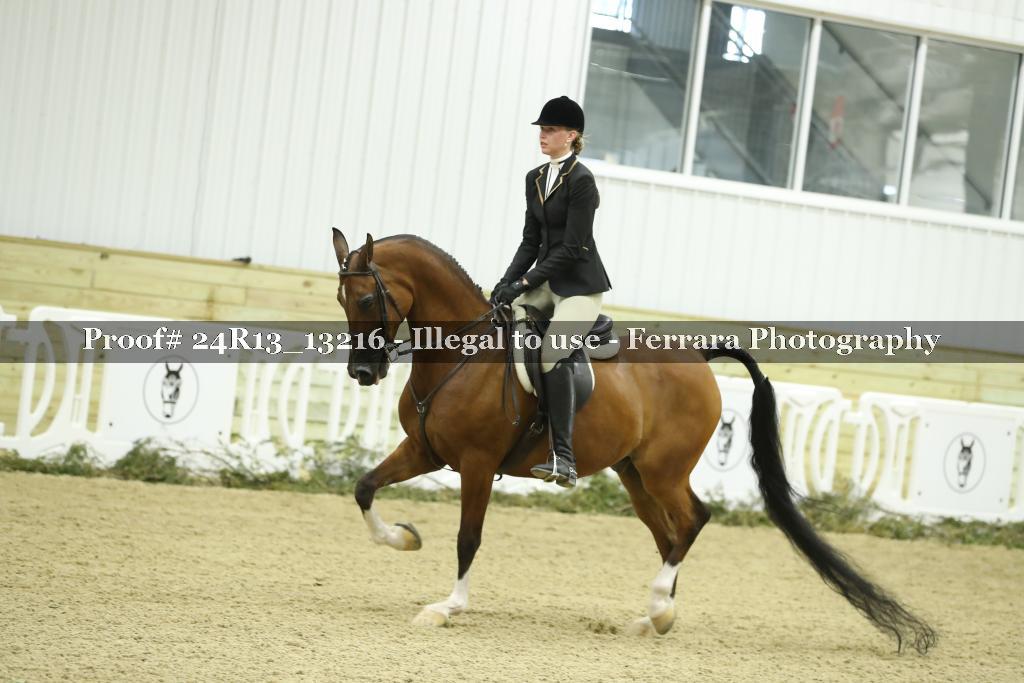 Proof 24R13_13216