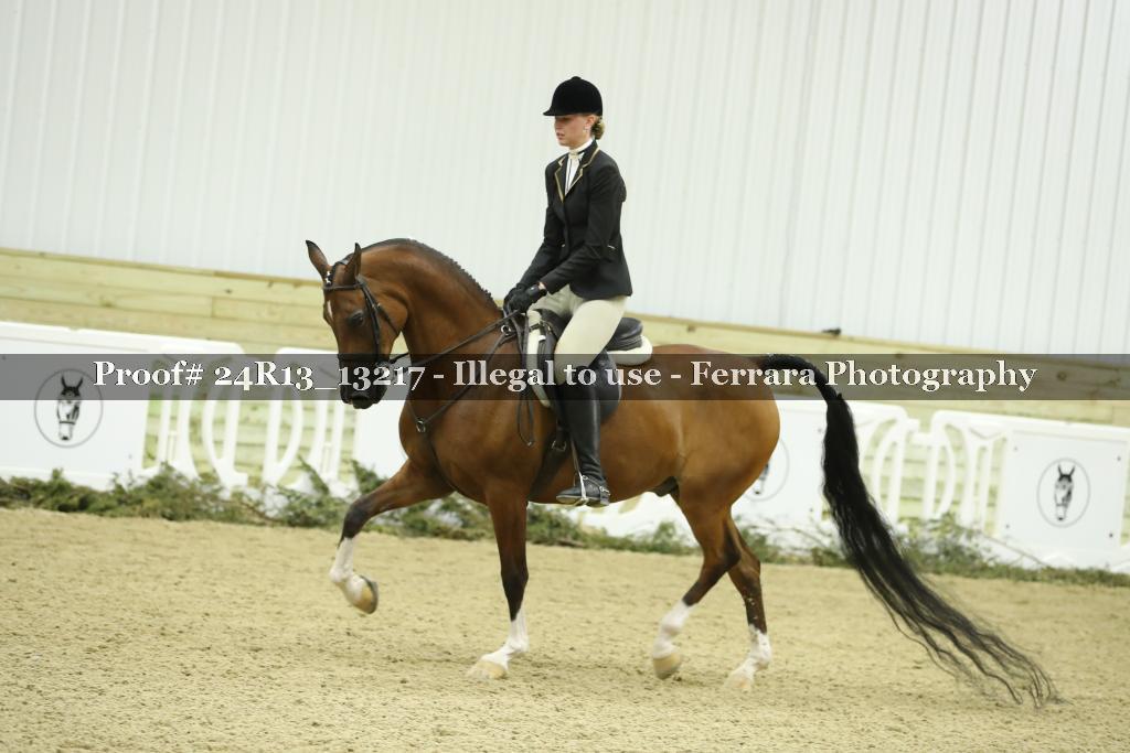 Proof 24R13_13217