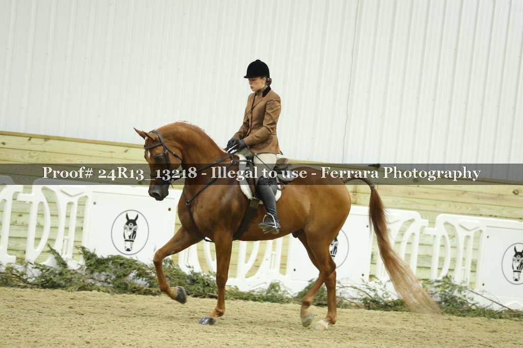 Proof 24R13_13218