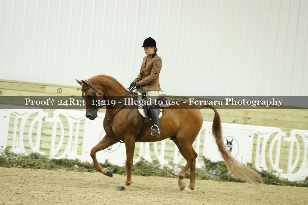 Proof 24R13_13219